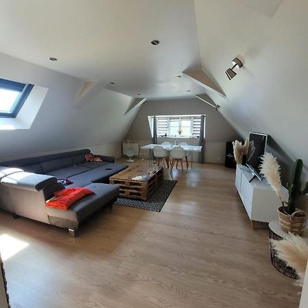 Loft spacieux et lumineux Oloron-Sainte-Marie Extérieur photo
