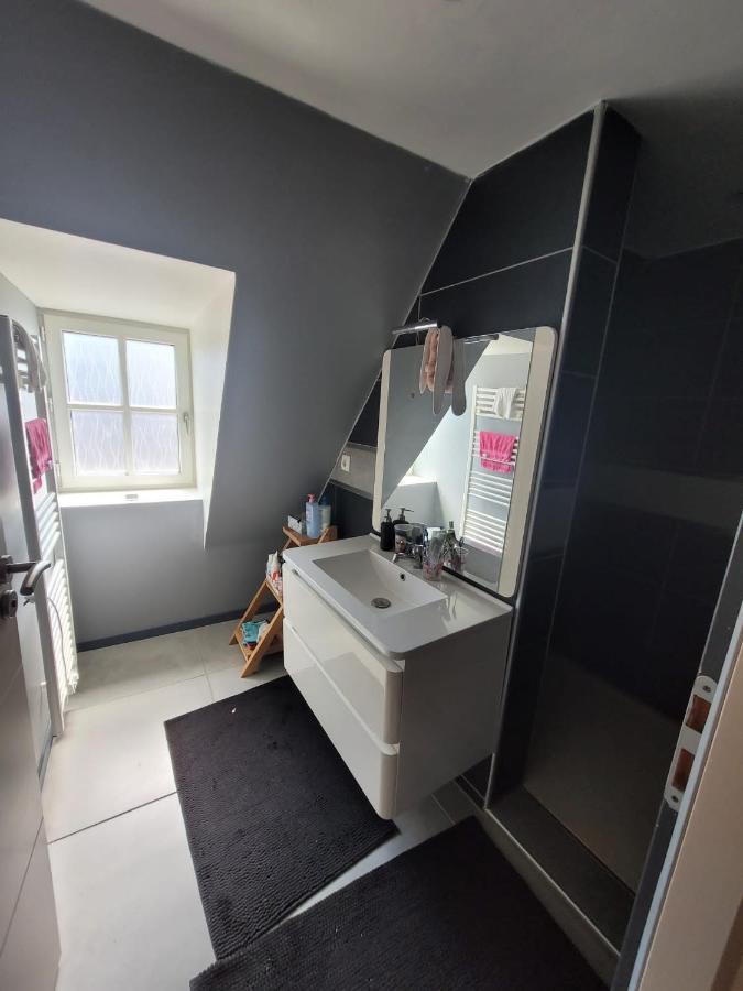 Loft spacieux et lumineux Oloron-Sainte-Marie Extérieur photo