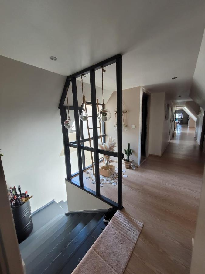 Loft spacieux et lumineux Oloron-Sainte-Marie Extérieur photo
